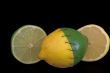 Stitched Lemon and Lime