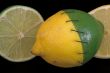 Stitched Lemon and Lime