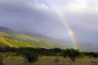 Tropical Rainbow
