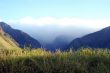 Tropical countryside