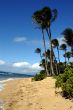 Tropical Beach