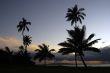 Tropical Sunset