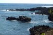 Rugged Coastline
