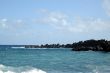 Rugged Coastline