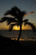 Tropical sunset