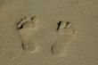 Foot prints