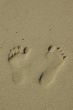 Foot prints