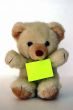 Teddy with a message