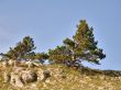 Mountain landscape. Crimea.