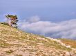 Mountain landscape. Crimea.