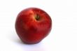 An Apple