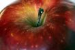 An Apple