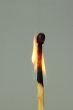 Flame