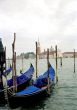 Goldolas in Venice