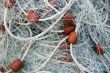 Fishing Net