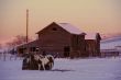 Horses and barn at sunset