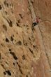 Rock climber on potholes route