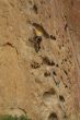 Rock climber on potholes route