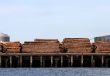 Logs on Wharf