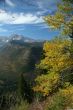 Autumn poplars, mountain valleys & ridges
