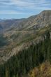 Spruce forest on steep mountain ridge