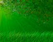 green spring background
