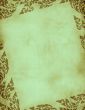 green grunge floral frame