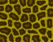 leopard fur texture