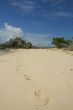 footprints in the sand of deserted island