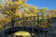 autumn bridge