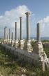Ancient columns of Tyre, Lebanon