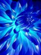 Blue flower