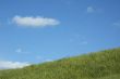 background of grass and blue sky