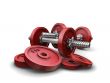 Weightlifting weights