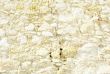 white rock texture