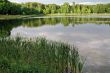ponds