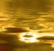 liquid gold background