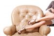 Woman`s beautiful long legs laying on the armchair