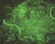 grunge floral background