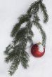 christmas tree branch with decorations covered with snow