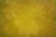 grunge forest background with space for text