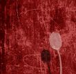 grunge floral background with space for text