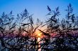 sunset on sea