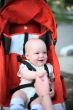 Baby in sitting stroller #1