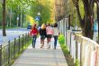 Four girls walking along the street. Rear view