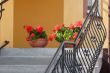Flowers on staircase