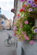 bicycle on street with flowers wall