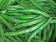 Fresh green boiling beans