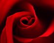 Red rose with heart symbol in center. close-up #1