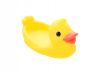 Rubber duck on water